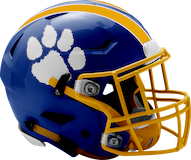 Valley View Cougars logo